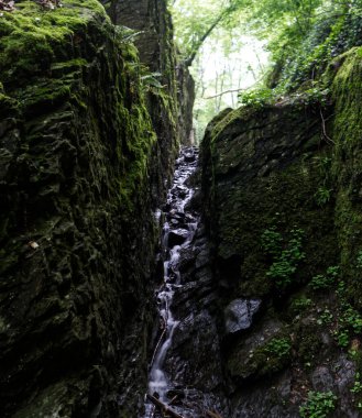 Sonbahar, Koblenz Almanya 'sındaki Ruppertsklamm' dan Karanlık Resimler. Yüksek kalite fotoğraf
