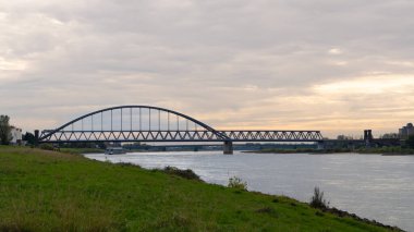 Güzellik Çiçeği 'nin Macro' su. Yüksek kalite fotoğraf