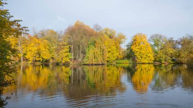 Sonbaharda mavi gölde altın renklerle yansıtılan ağaçlar. Yüksek kalite fotoğraf