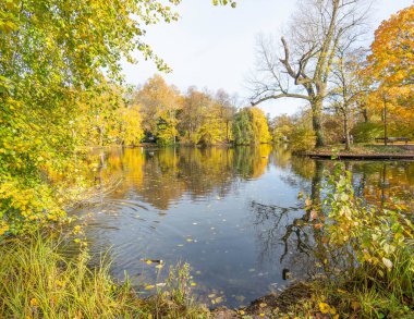 Sonbaharda mavi gölde altın renklerle yansıtılan ağaçlar. Yüksek kalite fotoğraf