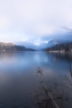 Bavyera 'daki Alpsee' nin üzerinde muhteşem Mavi ve Mor Işıklı Güzel Manzara - Moody Kış Manzarası 'nda Göl Resmi. Sisli bir gün ve çok kaliteli bir fotoğraf.