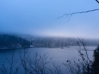 Bavyera 'daki Alpsee' nin üzerinde muhteşem Mavi ve Mor Işıklı Güzel Manzara - Moody Kış Manzarası 'nda Göl Resmi. Sisli bir gün ve çok kaliteli bir fotoğraf.