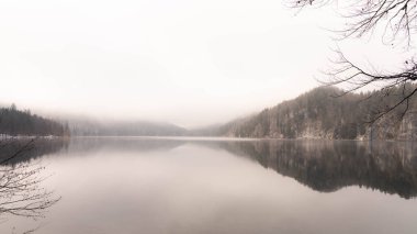 Bavyera 'daki Alpsee' nin üzerinde muhteşem Mavi ve Mor Işıklı Güzel Manzara - Moody Kış Manzarası 'nda Göl Resmi. Sisli bir gün ve çok kaliteli bir fotoğraf.