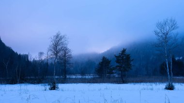 2025 kışında Bavyera 'da Schwangau' da Alpsee 'de dolaşmak - Kar ve Buz - Kış Yürüyüşü - Yüksek kaliteli fotoğraf