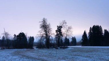 2025 kışında Bavyera 'da Schwangau' da Alpsee 'de dolaşmak - Kar ve Buz - Kış Yürüyüşü - Yüksek kaliteli fotoğraf