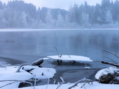 Schwangau 'daki Schwanensee' deki Icy Shore 2025 kışında Bavyera 'da - Kar ve Buz - Kış Yürüyüşü - Yüksek Kaliteli Fotoğraf