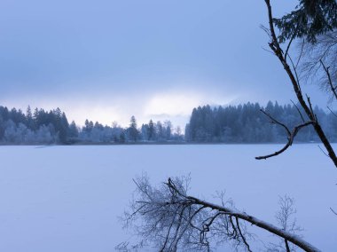 Kış 2025 'te Schwangau, Bavyera' da Schwanensee 'yi gezmek - Kar ve Buz - Kış Yürüyüşü - Yüksek kaliteli fotoğraf
