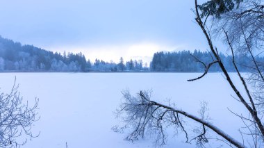 Kış 2025 'te Schwangau, Bavyera' da Schwanensee 'yi gezmek - Kar ve Buz - Kış Yürüyüşü - Yüksek kaliteli fotoğraf