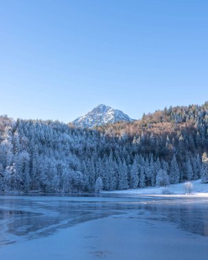 Almanya 'nın Bavyera Allgaeu bölgesindeki Alatsee' de güneşli kış atmosferiyle donuk dağlar yansıyor. Yüksek kalite fotoğraf