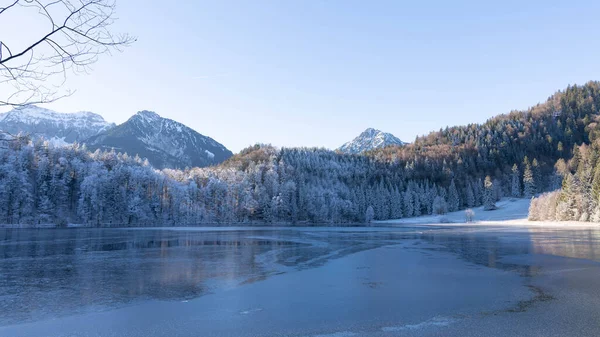 Almanya 'nın Bavyera Allgaeu bölgesindeki Alatsee' de güneşli kış atmosferiyle donuk dağlar yansıyor. Yüksek kalite fotoğraf