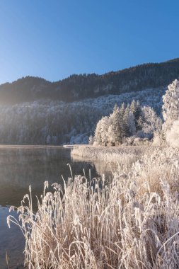 Bavyera 'da Weissensee' de dondurucu bir gün. Allgaeu Almanya 'da, güneşli kış titreşimleri yüksek kaliteli bir fotoğrafla.