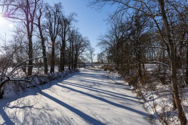 Parlak güneş ışığı karla kaplı nehir yüzeyini aydınlatır. İnce çıplak ağaçlarla çevrili, sakin kış manzarasından uzak yapıya uzanır..