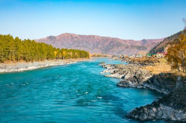 Güneşli bir günde Altai dağlarındaki Turkuaz Katun nehrinin güzel manzarası. Sibirya 'daki Altai Bölgesi