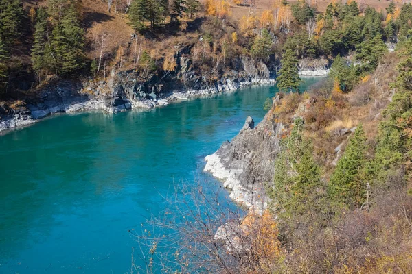 Τυρκουάζ Ποταμός Katun Στα Βουνά Altai Μια Ηλιόλουστη Μέρα Περιοχή — Φωτογραφία Αρχείου