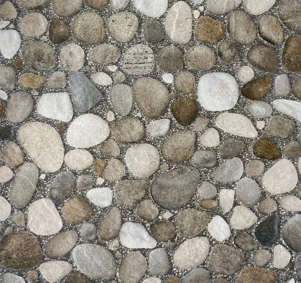 Round stone floor background top view. Gravel floor. Floor background with stones. texture background