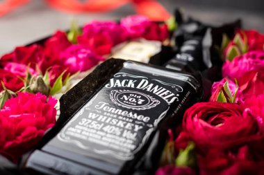 Novosibirsk, Rusya - 25 Mayıs 2020 - bir şişe Jack Daniel viskisi kırmızı gül renginde. hediye seti