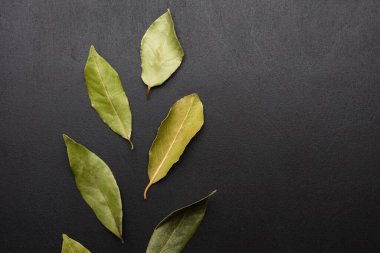 Taze defne yaprakları siyah arkaplanda ve metnin altında yer alıyor. Bulaşıklar için baharatlar. Uzayı kopyala Üst görünüm