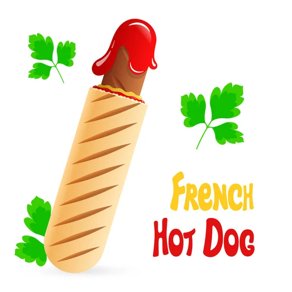 Hot Dog Francese Ketchup Pomodoro Concetto Fast Food Street Food — Vettoriale Stock