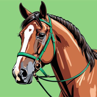 Dengeli, orantılı şekli ve anatomisi olan, gücü, zarafeti ve doğal hareketi yansıtan bir atı içeren at vektör sanatı çizimi.