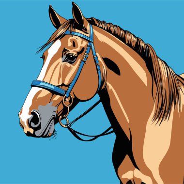 Dengeli, orantılı şekli ve anatomisi olan, gücü, zarafeti ve doğal hareketi yansıtan bir atı içeren at vektör sanatı çizimi.