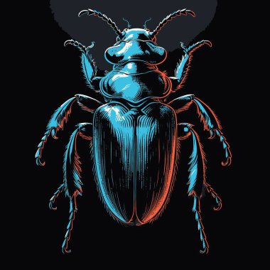 Uğurböceği vektör sanat çizimi, düzgün, parlak kabuklu, düzgün orantılı oval vücut şekline sahip, yüksek detay ve gerçekçi bir tarzda çizilmiş..