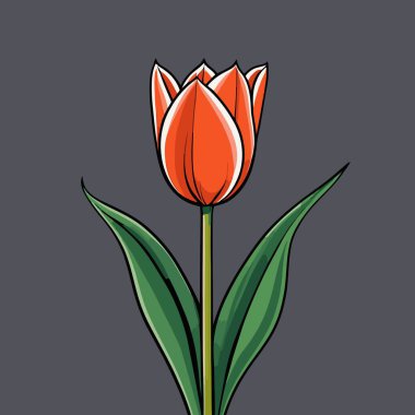 Güzel lalelerin bir vektör görüntüsünde zarif, zarif şekilli çiçekler pürüzsüz, temiz hatlar ve canlı renkler bulunur.