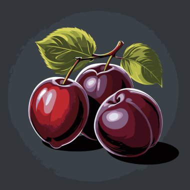 Çok cazip bir erik meyve vektöründe olgun, sulu erikler pürüzsüz, temiz çizgiler ve canlı renklerle resmedilir.