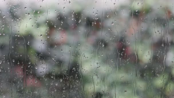Regn Fönstret Blåsig Höstdag — Stockvideo