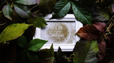 Sonbahar yapraklarından yapılmış, ahşap çerçeveli yaratıcı bir düzen. 