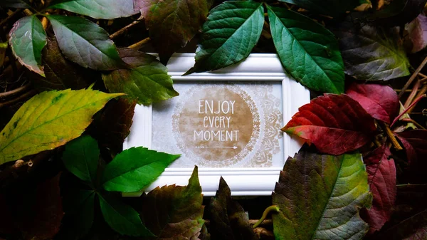 Creative Layout Made Autumn Leaves Message Wooden Frame Enjoy Every — Stock Photo, Image