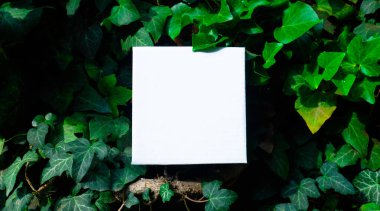 Kağıt notlu yeşil liana yapraklarından yapılmış yaratıcı bir düzen. Boşluğu kopyala, 