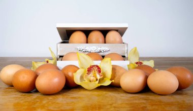 Tahta kutuda ve etrafında bir sürü yumurta..
