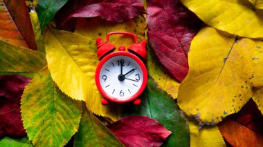 Renkli sonbahar yapraklarındaki kırmızı alarm saati. Sonbahar geldi..