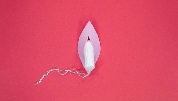 Menstrual Cycle Tampon Vagina Negative Space Copy Space Marketing Text —  Fotos de Stock