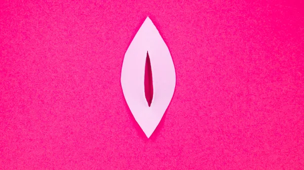 Pink vagina on a pink background - abstract, copy space for text.