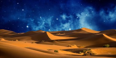 Büyük bir ayı olan çölün güzel gece manzarası.