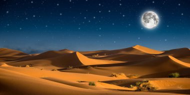 Çölde ay olan gece manzarası.