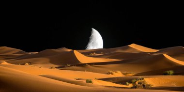 Ay, ay, gece çöl, ay ve ay, Ay 'ın ay ışığı, Ay' ın ay ışığı, Ay 'ın ay ışığı...,