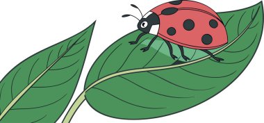 Lezzetli bir uğur böceği canlı yeşil yaprakların üzerinde oturur, çocuk çizimleri ve doğayı kutlamak için mükemmeldir..