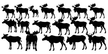 Dinamik geyik siluetleri etkili bir şablon oluşturur, markalaşma için ideal doğa, macera ve vahşi doğa temaları güçlü, temiz tasarım temalı.