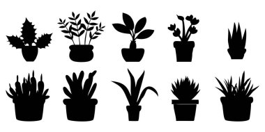 Her modern tasarım için doğanın güzelliğinin dokunuşunu sunan, bu çok yönlü bitki silueti koleksiyonuyla yüksek alanlar..