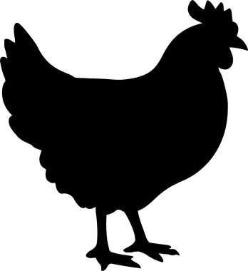 Cesur tavuk silueti tasarımı. Taze tarım ürünleri, kırsal tasarımlar, gıda ürünleri ve logo oluşturulması için mükemmel..