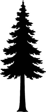 Siyah çam ağacı silueti, doğa tasarımları, açık hava markalaşması ve organik görsel kavramlar için çok yönlü..