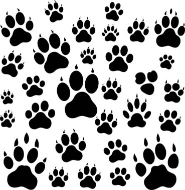Canlı pençe izi kalıbı, hayvan severler ve evcil hayvan projeleri için eğlenceli enerji yaratıyor, arka plan ve markalaşma için ideal..