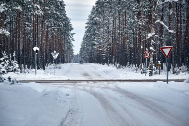 18 Ocak 2021, Engure Letvia: Kışın ormanda karlı yolda giden araba