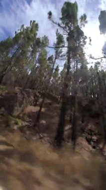 Otomobil, Tenerife 'deki Anaga Kırsal Parkı' nın Dönen Yolları Keşfediliyor