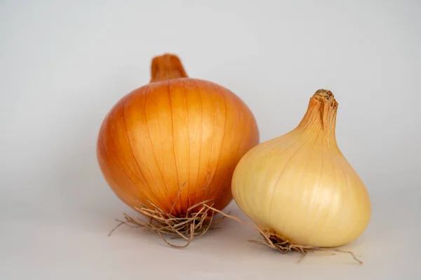 Beyaz zemin üzerinde izole edilmiş iki taze organik soğan..