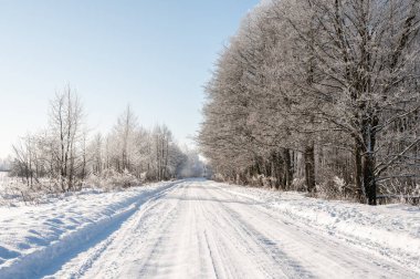 Açık bir gökyüzünün altındaki donmuş ağaçların arasında geniş bir köy yolu uzanıyor. Parlak ışık ve büyük beyaz bir alan, taze bir kış arkaplanı..