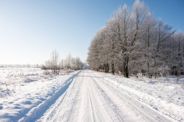 Açık bir gökyüzünün altındaki donmuş ağaçların arasında geniş bir köy yolu uzanıyor. Parlak ışık ve büyük beyaz bir alan, taze bir kış arkaplanı..