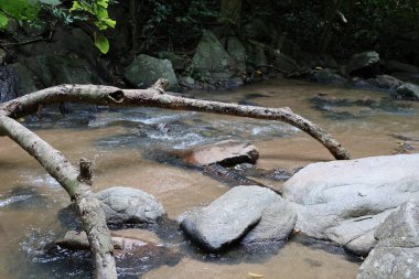 Ormanda güzel bir şelale